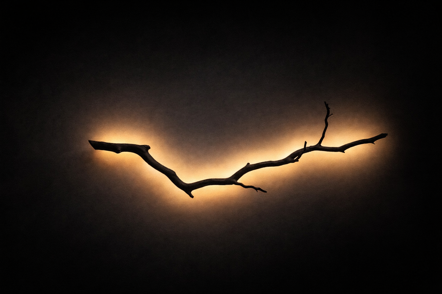 Luxury Wood Lamp – Custom Natural Branch Wall Light