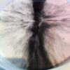 IMG_20260303_173332.jpg Phantom Marble – Custom Marble Effect Resin Coffee Table