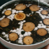 file_00000000e49472468979306feac3b8dc.png Warm Forest – Custom Wood, Moss & Resin Coffee Table